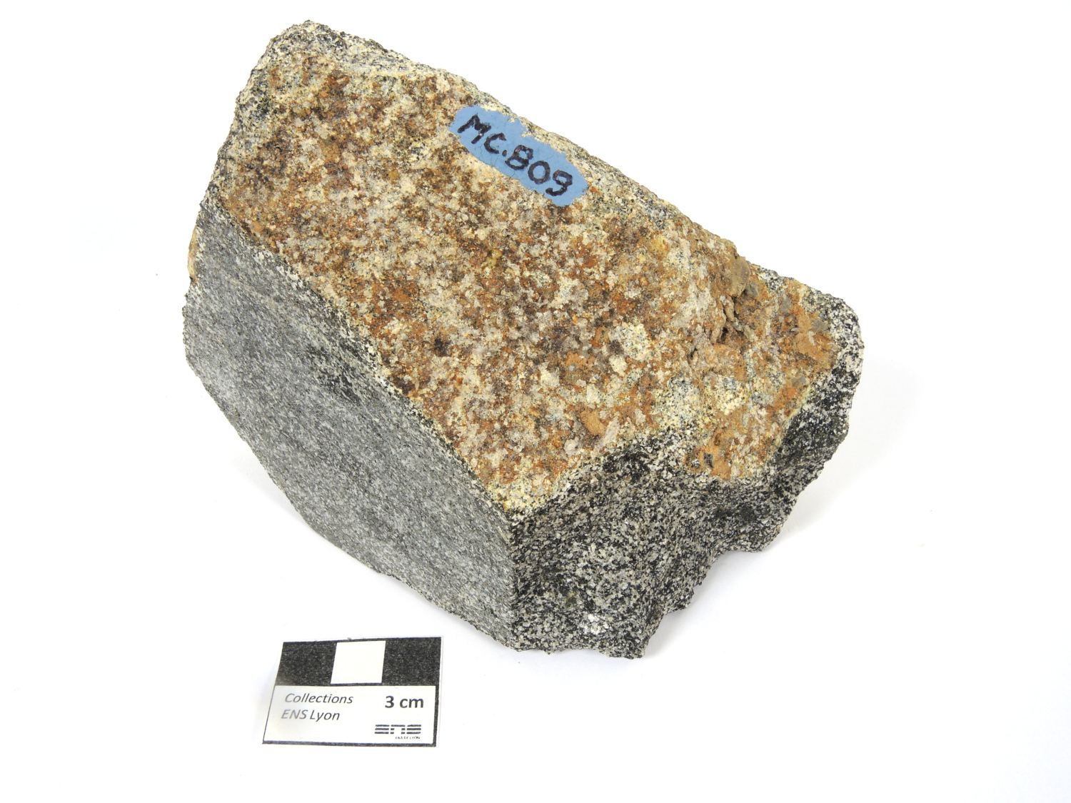 Enclave de granulite Xénolite granulitique de Bournac Massif central Velay Saint-Front Bournac